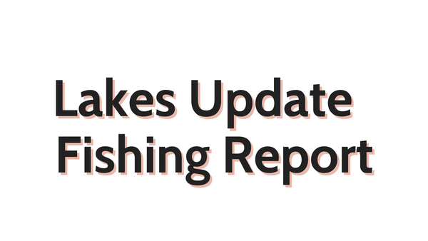 Lakes Update July 15, 2022