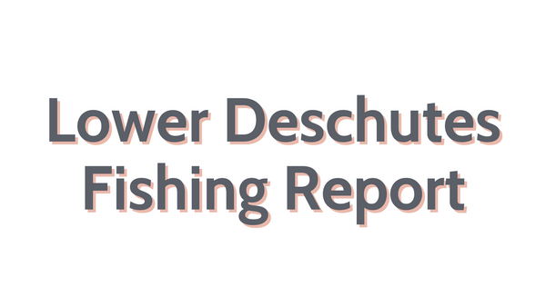 Lower Deschutes Update September 16, 2022