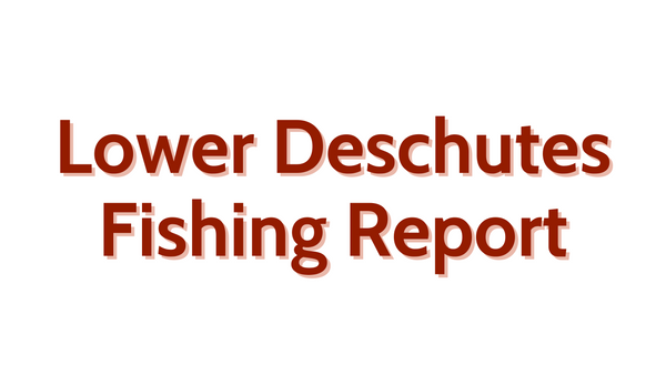 Lower Deschutes Update September 23, 2022
