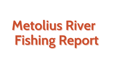 Metolius River Update July 22, 2022