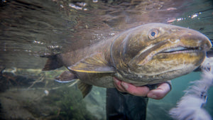 The Epic and Challenging “Met”