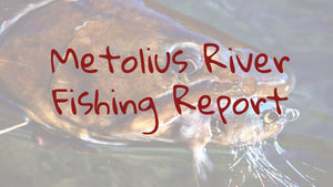 Metolius River Update