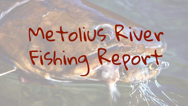 Metolius Update