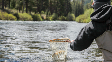 Metolius River Report 4/30/21