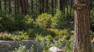 Metolius River Report 5/28/21