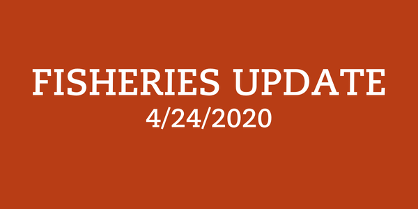 Local Fisheries Update