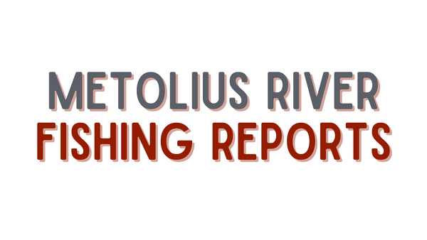 Metolius River Update - 4/22/22