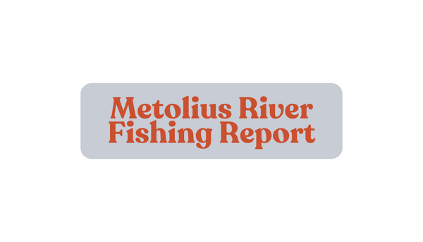 Metolius River Update December 27th, 2024