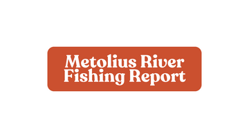 Metolius River Update August 23rd, 2024