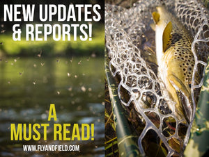 Latest Happenings and Updates