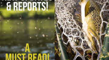 Latest Happenings and Updates