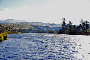 Fly and Field Fall Float! (part 2)