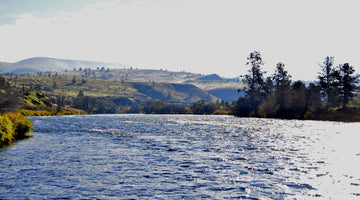 Fly and Field Fall Float! (part 2)