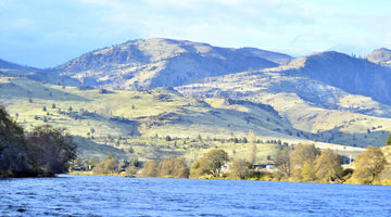 Fly and Field Fall Float! (part 1)