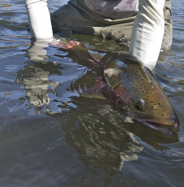 Guide Chronicles: The 10th Month (part 1) with Griff Marshall