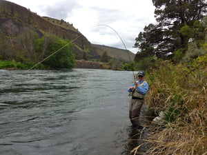 Salmonflies on the Lower and the Upper Opens Up!