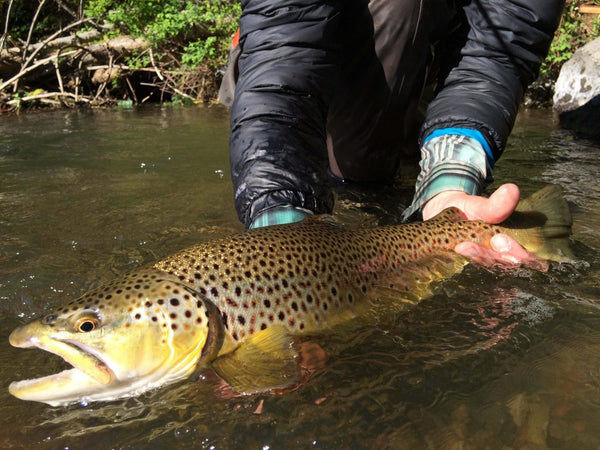 Latest News and Fishing Reports