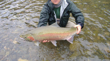 North Umpqua Steelhead Action