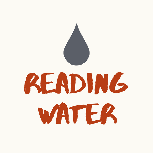 Reading Water and Finding Trout in Rivers