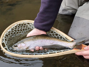 "June"uary On The Crooked