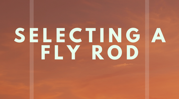 Selecting A Fly Rod