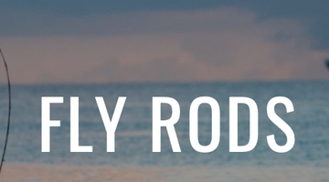 Sage X vs Winston Air