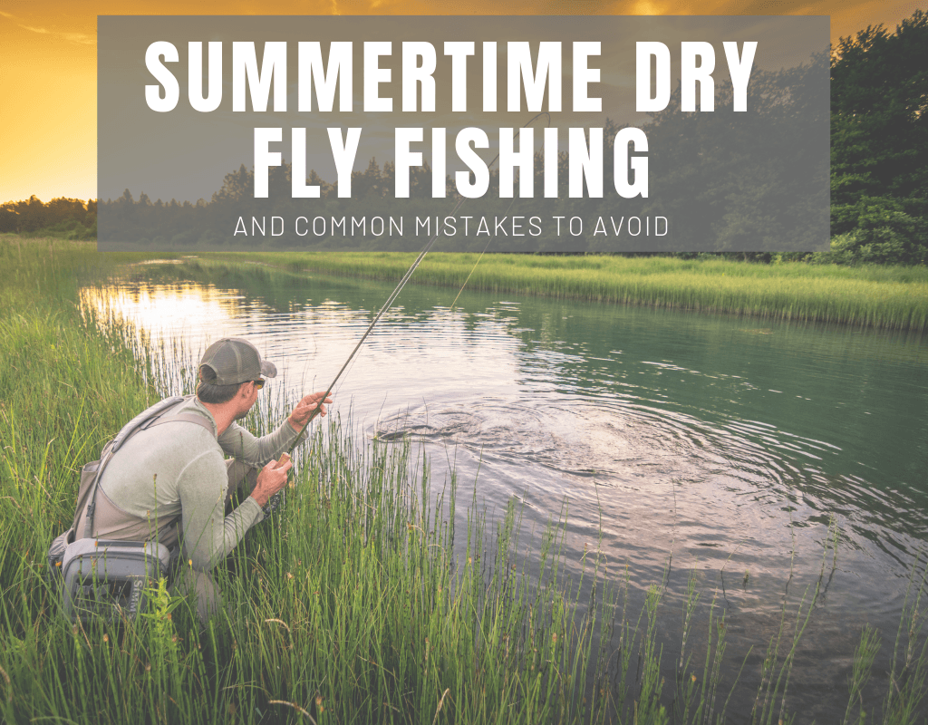Summertime Dry Fly Fishing – Fly and Field Outfitters