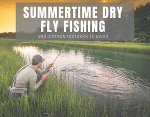 Summertime Dry Fly Fishing