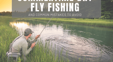 Summertime Dry Fly Fishing