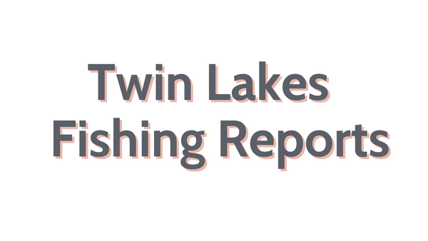 Twin Lakes Update June 24, 2022