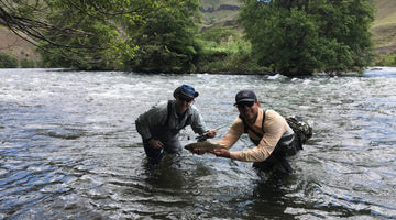 Lower Deschutes Update