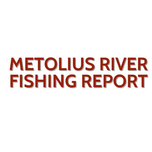 Metolius River Update February 24, 2024