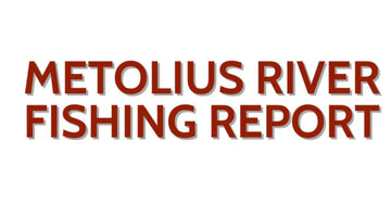 Metolius River Update December 8, 2023