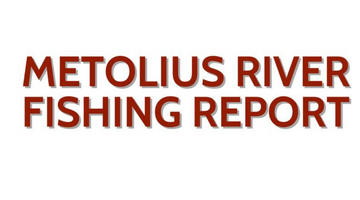 Metolius River Update December 3, 2022