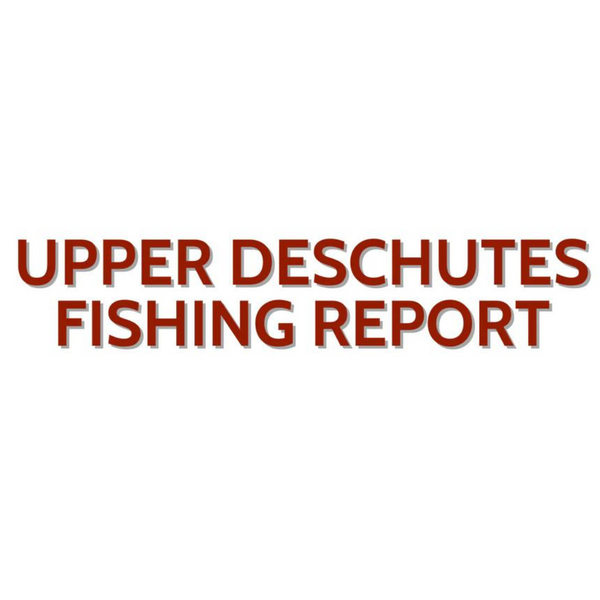 Upper Deschutes Update December 3, 2022