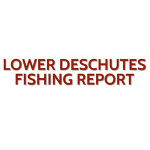 Lower Deschutes Update December 3, 2022