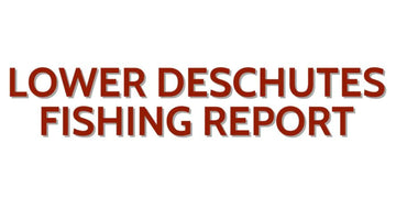 Lower Deschutes Update November 24, 2023
