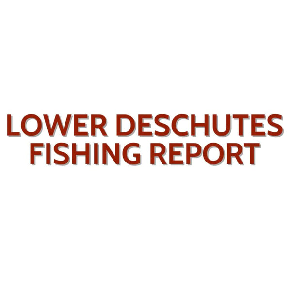Lower Deschutes Update December 22, 2023