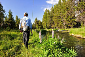 Walk-In Fisheries Update