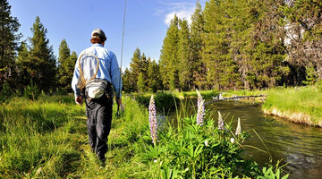 Walk-In Fisheries Update