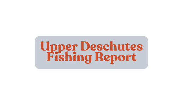 Upper Deschutes Update August 30th, 2024