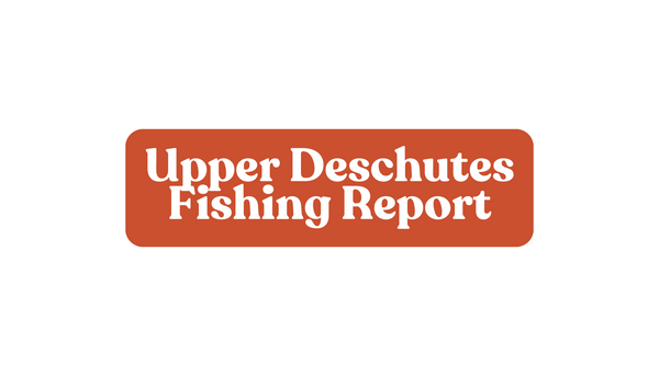 Upper Deschutes Update June 6th, 2025
