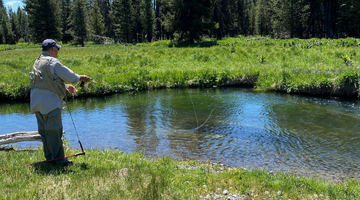 Upper Deschutes Report 6/4/21