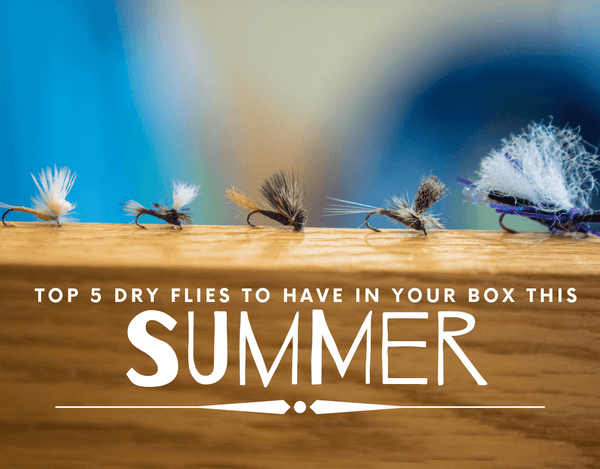 Five Dry Flies to Have in the Box this Summer