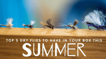 Five Dry Flies to Have in the Box this Summer