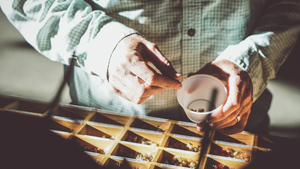 What Flies Should I Use On The Deschutes?