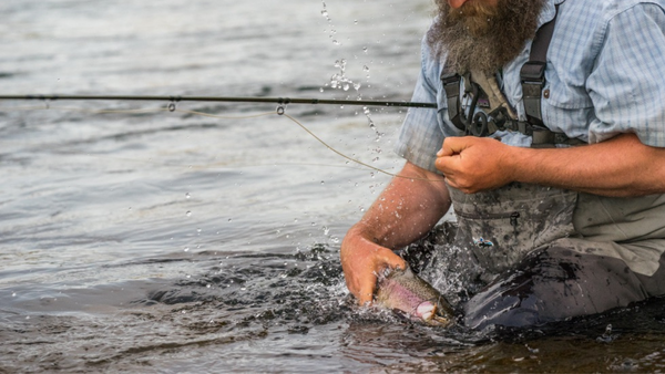 Which Leader Should I Use?