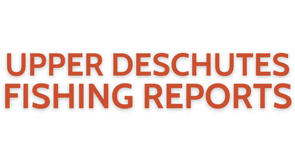 Upper Deschutes Update June 17, 2022