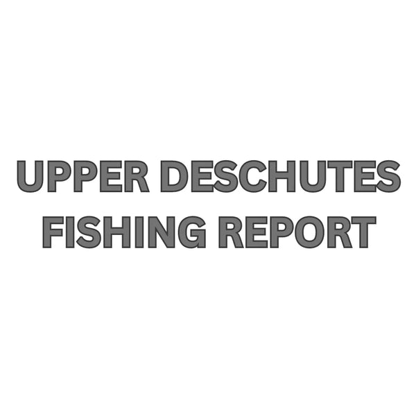 Upper Deschutes Update July 12, 2024