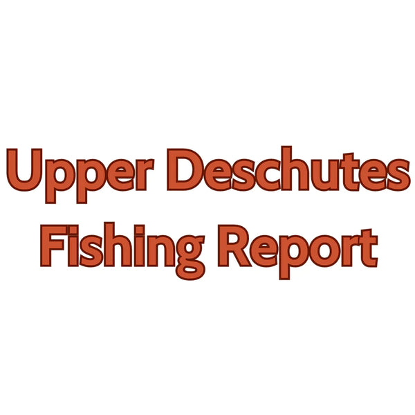 Upper Deschutes Update August 25, 2023